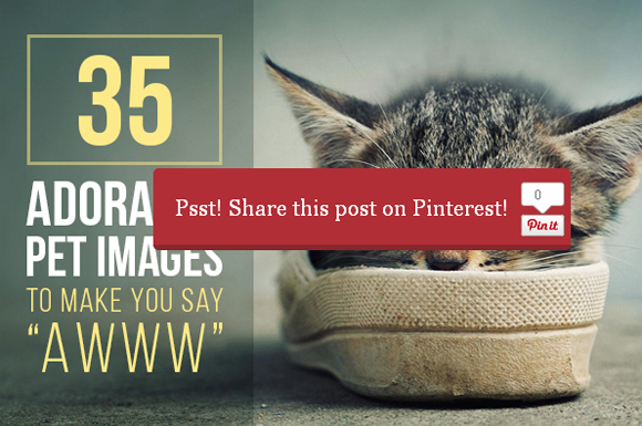 Sharing is Caring: 10-15 Social Media Plugins for WordPress Sharing is Caring: 10-15 Social Media Plugins for WordPress