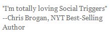 social-triggers-sidebar-testimonial