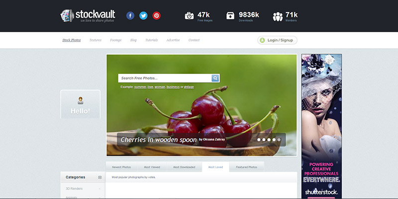 stockvault