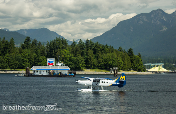 Harbour Air Seaplanes, float plane, airplane, harbour, Vancouver, water, Gulf Islands, Salt Spring Island