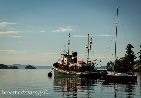 Harbour Air Seaplanes, float plane, airplane, harbour, Vancouver, water, Gulf Islands, Salt Spring Island