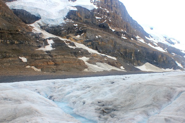 Athabasca Glacier, Jasper, Alberta