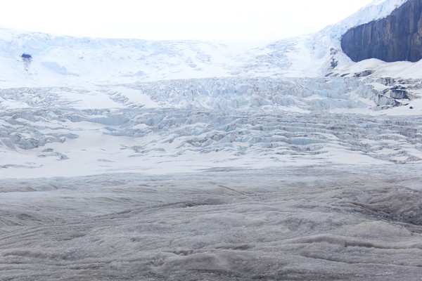 Athabasca Glacier, Alberta