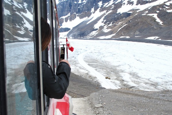 Ice Explorer, Columbia Icefield Glacier Adventure, Alberta