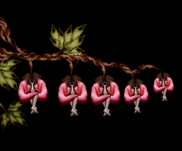 bleeding-heart
