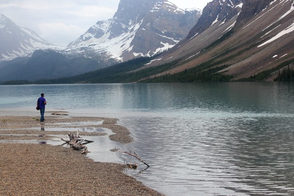 Bow Lake, Canadian Rockies, Alberta