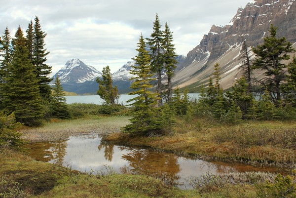 Bow Lake, Canadian Rockies, Alberta