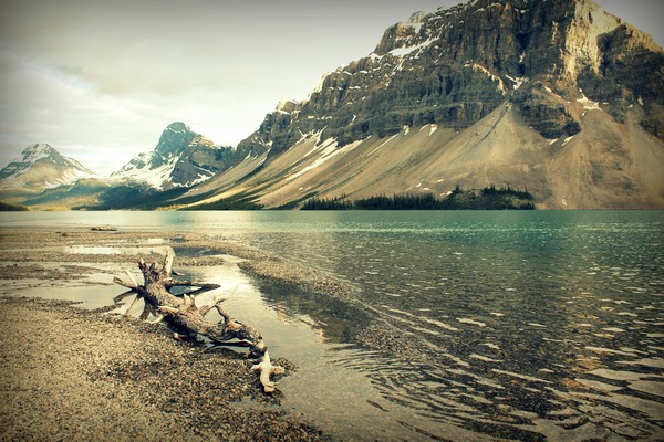 Bow Lake, Canadian Rockies, Alberta