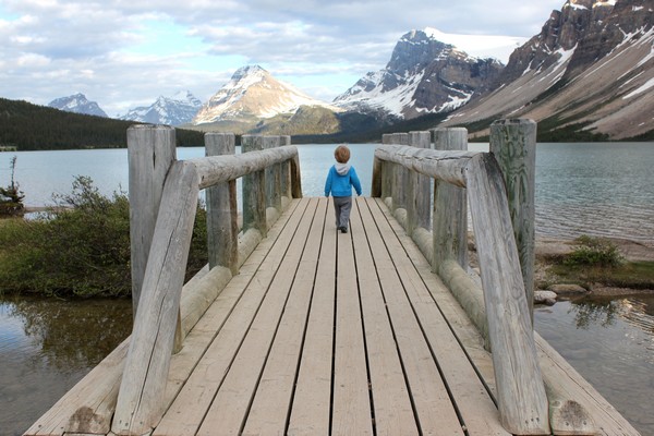 Bow Lake, Canadian Rockies, Alberta