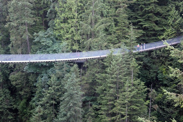 Capilano Suspension Bridge