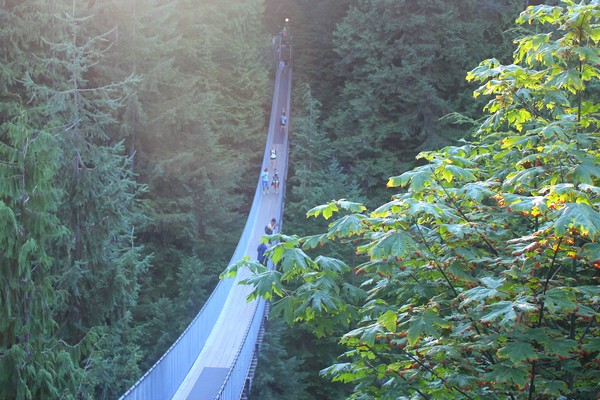 Capilano Suspension Bridge