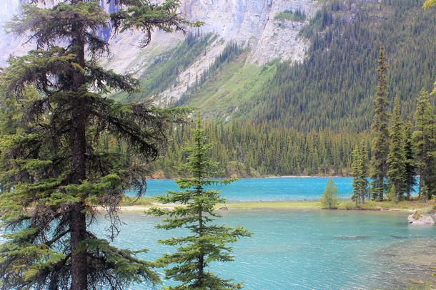 maligne-lake-jasper-alberta-05