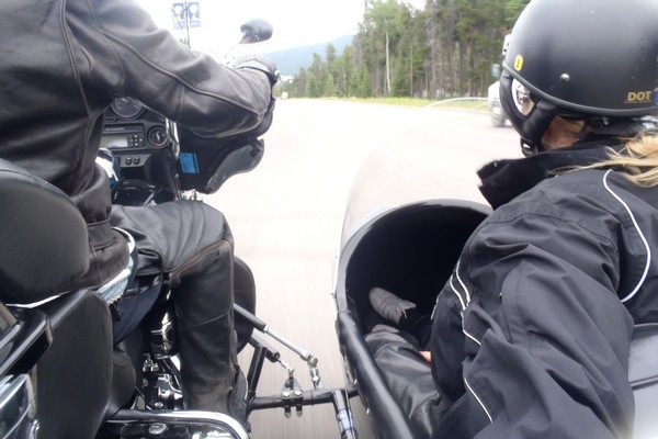 Jasper motorcycle tours