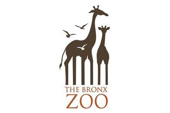 bronxzoo