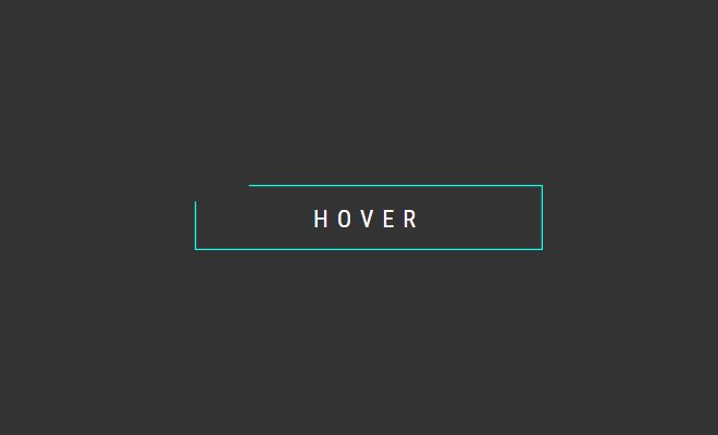 svg button hover effect