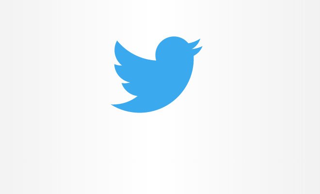 pure css svg twitter logo