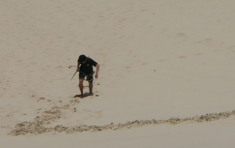 Sandboarding at Moreton Island, Brisbane (long way to climb up after the slide!), 2013.