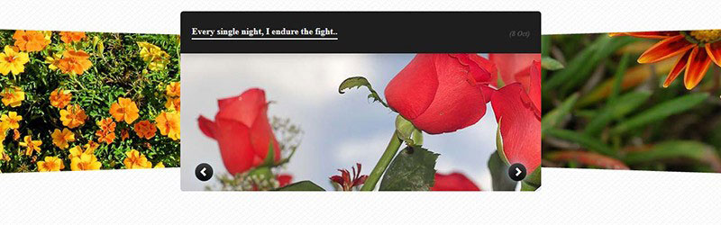 css3-image-slider