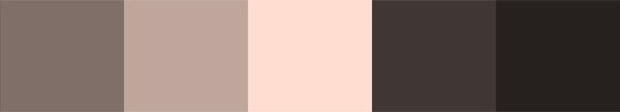 palette-07-elegant-brown