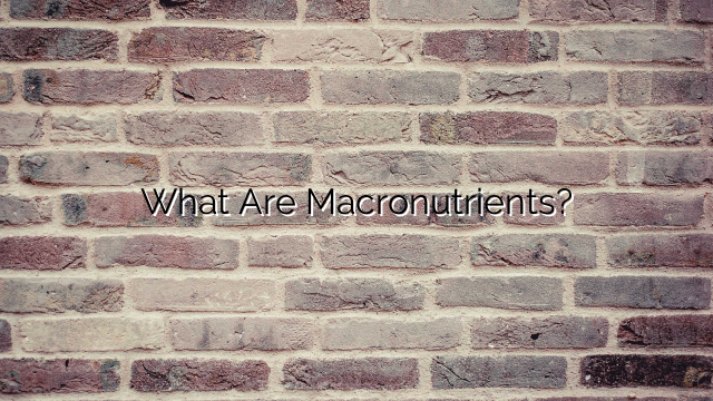 What Are Macronutrients?