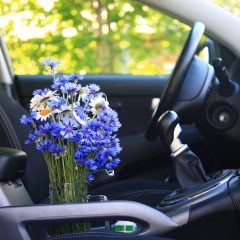 7 Effective Tips on How to Make Your Car Clean