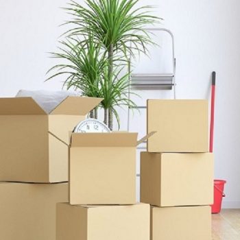 tumblr_2fcbef6baff016bfb991d9e726952561_d64cb10a_2048-644c7e20