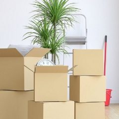 tumblr_2fcbef6baff016bfb991d9e726952561_d64cb10a_2048-644c7e20