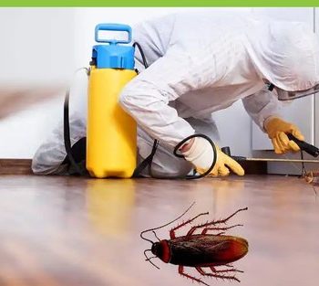 cockroaches-pest-control-services-500x500-3b190a81