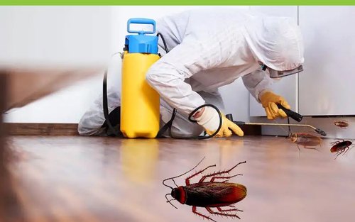cockroaches-pest-control-services-500x500-3b190a81