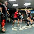 MMA_2_6119f452e9 sharing 2 oct-1ce43a38