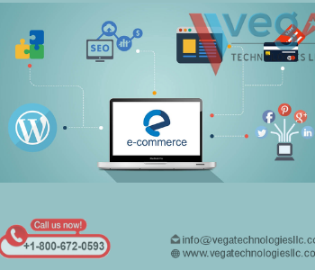 Ecommerce Website Design