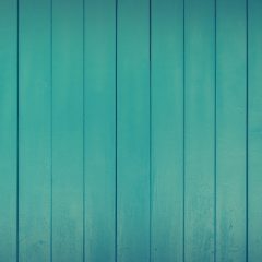 pexels-fwstudio-131683-bc739a9b