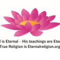 enternal-2399028a
