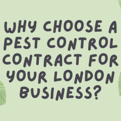 video thumbnail-93c5680a