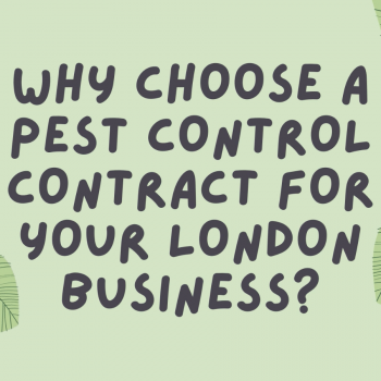 video thumbnail-93c5680a