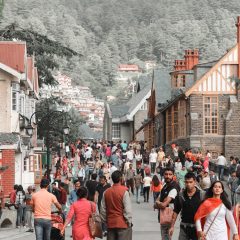 Top best places to visit in Shimla Manali-99181419