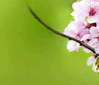 5 Common Mistakes During a Wedding Photoshoot