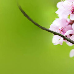 5 Common Mistakes During a Wedding Photoshoot