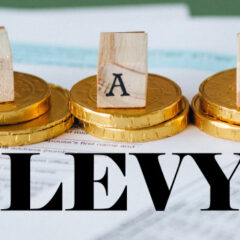 Understanding Tax Levies What They Are, How They Work, and How to Avoid Them