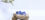 u100715-blue-sapphire-benefits-for-marriage-677173_l