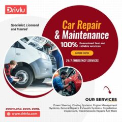 500311599_122125895216730309_228661991857152005_n